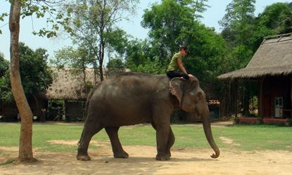 Picture of Luang Prabang - Visite du village des Eléphants à scooter - Balade à dos d’éléphant