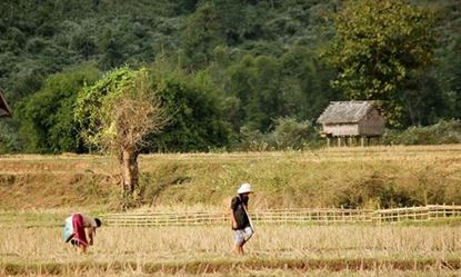 Picture of Muang Xay - Muang La - Villages des minorités - Muang Xay
