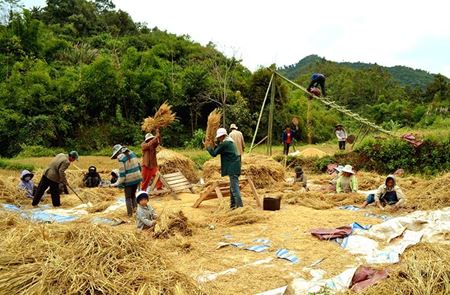 Picture for category Phongsaly: La plupart de productions agricoles sont exportées vers les marchés chinois
