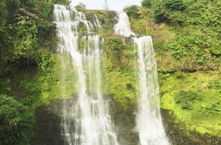 Picture of Visiter chutes de Tad Yuang sur le plateau de Boloven